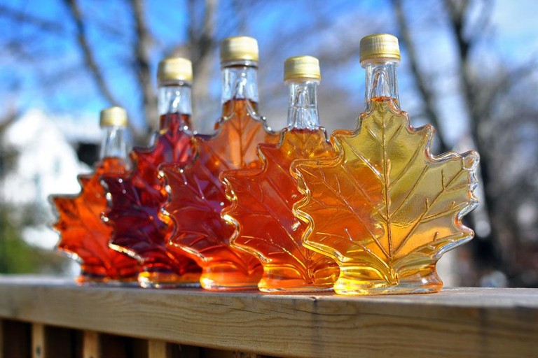 The Rise of Maple-Based Spirits in Quebec’s Craft Scene